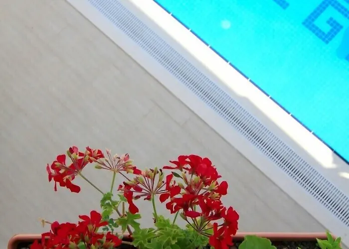 Deger Appart hôtel Akyaka (Mugla)