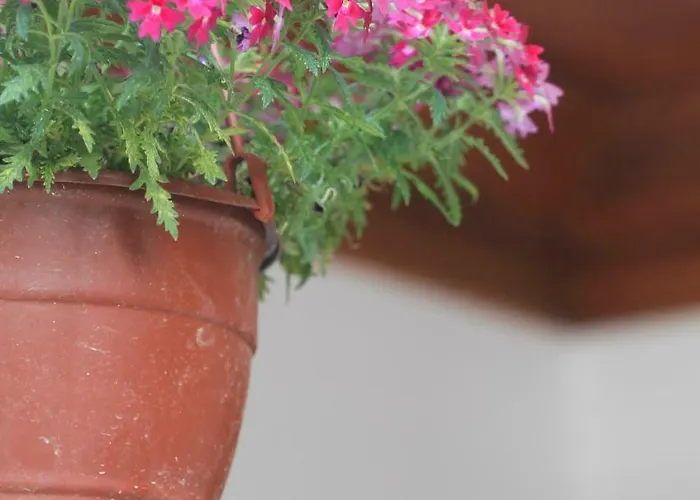 Appart hôtel Deger Akyaka (Mugla)